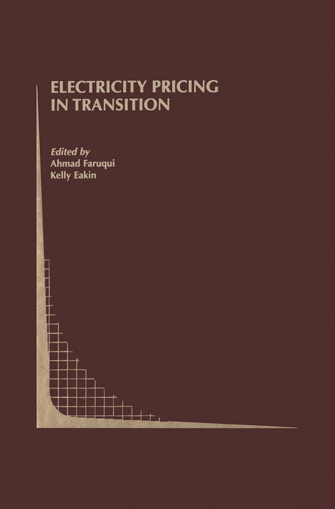 Electricity Pricing in Transition - 