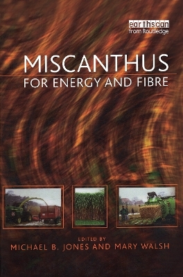 Miscanthus - 