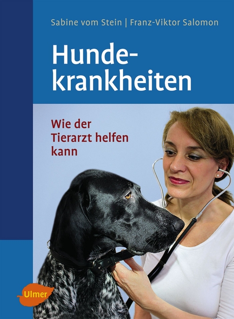 Hundekrankheiten - Sabine Vom Stein, Franz-Viktor Salomon