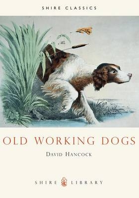 Old Working Dogs - David Hancock