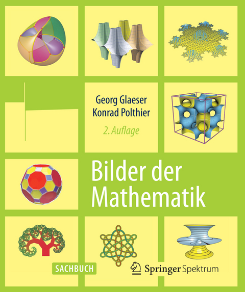 Bilder der Mathematik - Georg Glaeser, Konrad Polthier