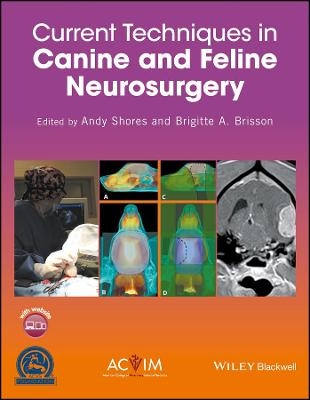 Current Techniques in Canine and Feline Neurosurgery - 