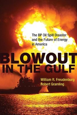 Blowout in the Gulf - William R. Freudenburg, Robert Gramling