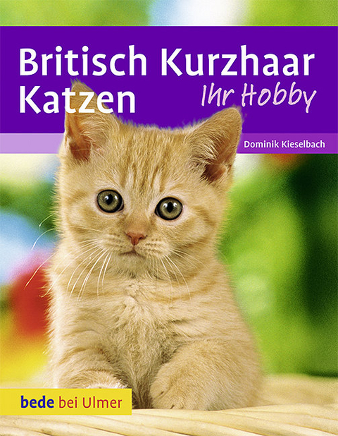 Britisch Kurzhaar Katzen - Dominik Kieselbach, Heidi Betz