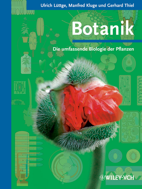 Botanik - Die umfassende Biologie der Pflanzen - Ulrich Lüttge, Manfred Kluge, Gerhard Thiel
