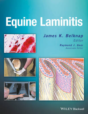 Equine Laminitis - James Belknap, Raymond J. Geor