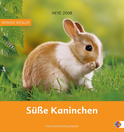 Kaninchen Postkartenkalender 2008