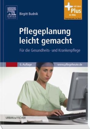 Pflegeplanung leicht gemacht - Birgitt Schröter