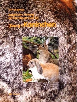 Artgerechte Haltung - ein Grundrecht auch für (Zwerg-)Kaninchen - Ruth Morgenegg
