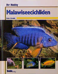 Ihr Hobby Malawiseecichliden - Peter Bredell