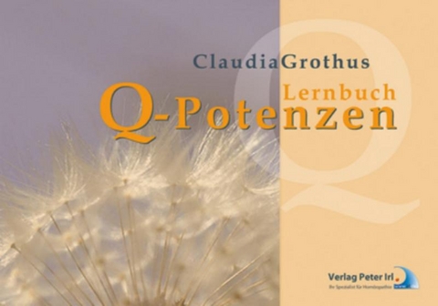 Lernbuch Q - Potenzen - Claudia Grothus