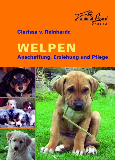 Welpen - Clarissa von Reinhardt