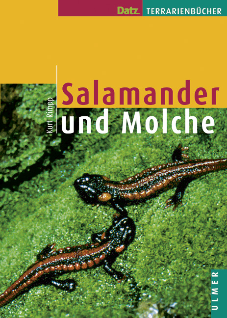 Salamander und Molche - Kurt Rimpp