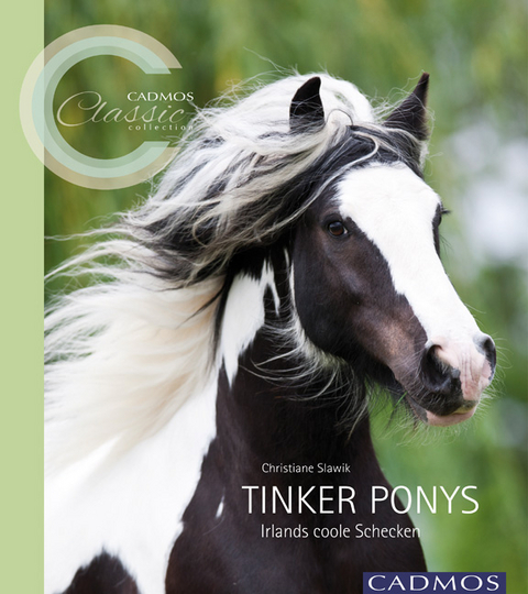 Tinker Ponys - Christiane Slawik