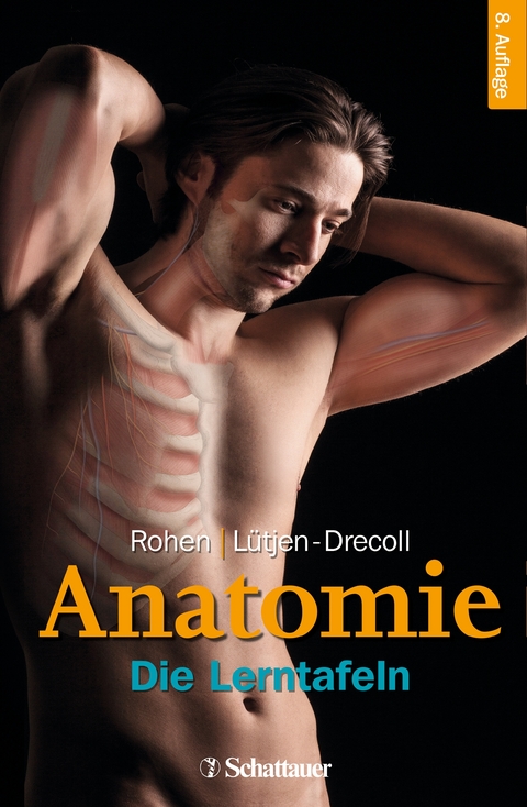 Anatomie - Johannes W. Rohen, Elke Lütjen-Drecoll