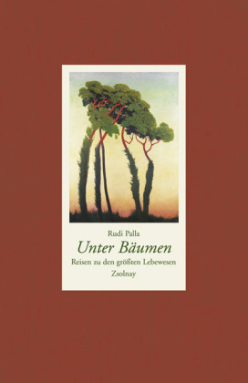 Unter Bäumen - Rudi Palla