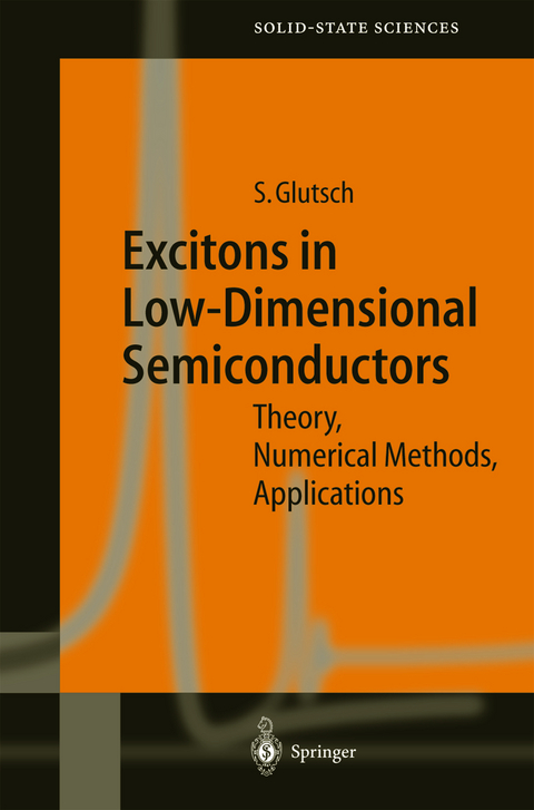 Excitons in Low-Dimensional Semiconductors - Stephan Glutsch