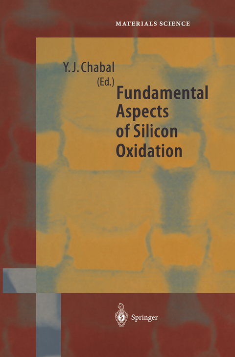 Fundamental Aspects of Silicon Oxidation - 