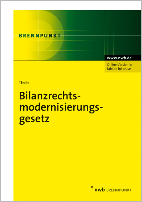 Bilanzrechtsmodernisierungsgesetz - Carsten Theile