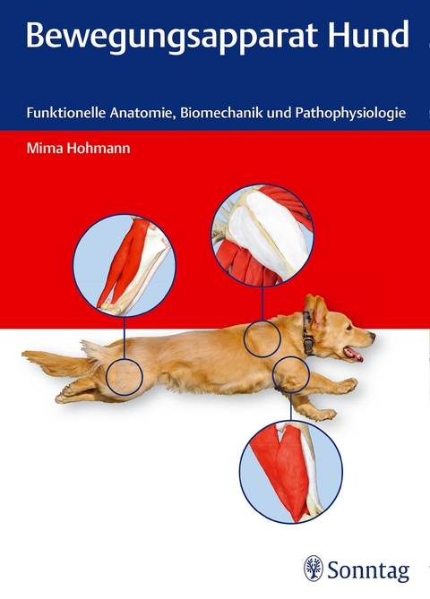 Bewegungsapparat Hund - Mima Hohmann