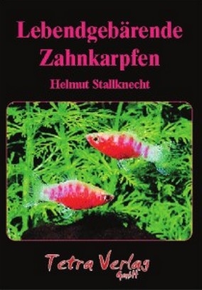 Lebendgebärende Zahnkarpfen - Helmut Stallknecht