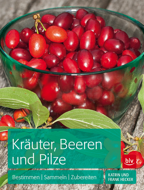 Kräuter, Beeren und Pilze - Frank Hecker