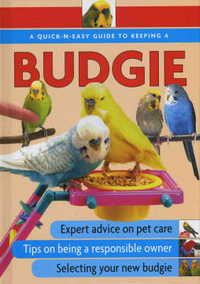 Quick N Easy Guide to Keeping a Budgie?************ - Ann McDowall