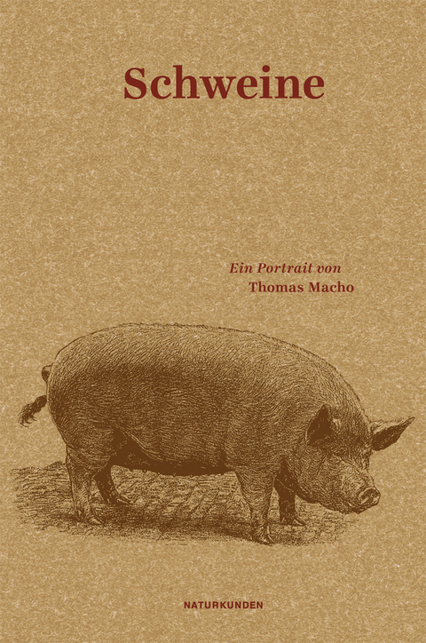Schweine - Thomas Macho