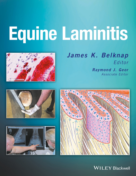 Equine Laminitis - 