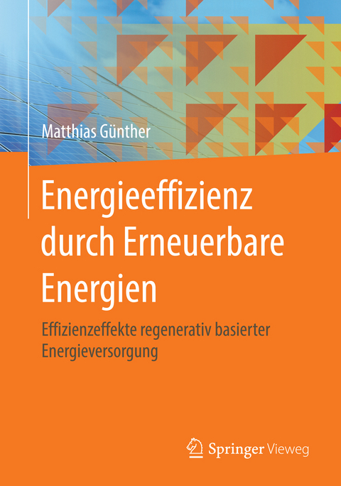 Energieeffizienz durch Erneuerbare Energien - Matthias Günther