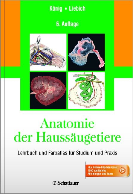 Anatomie der Haussäugetiere - Horst Erich König, Hans-Georg Liebich