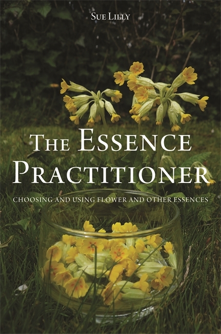 The Essence Practitioner - Sue Lilly