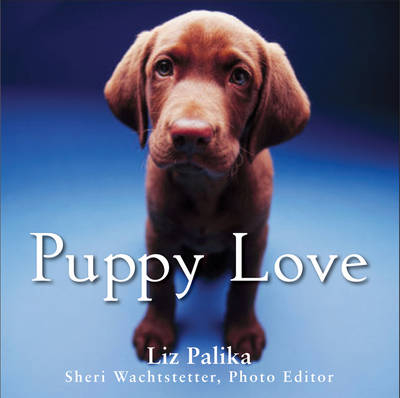 Puppy Love - Liz Palika, Sheri Wachtstetter