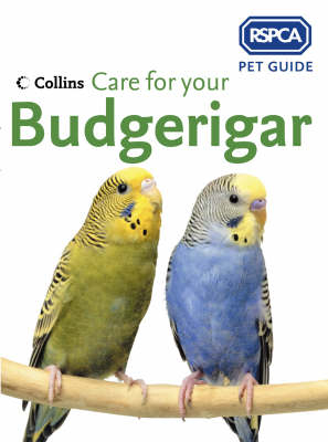 Care for your Budgerigar -  RSPCA