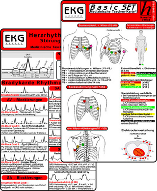 EKG Basic Set (2er Set) - Herzrhythmusstörungen, EKG Auswertung - Medizinische Taschen-Karte - Hawelka Verlag