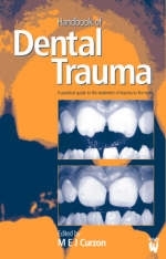 Handbook of Dental Trauma - M. E. J. Curzon