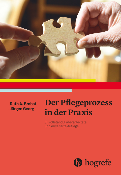 Der Pflegeprozess in der Praxis - Ruth A. Brobst, Jürgen Georg