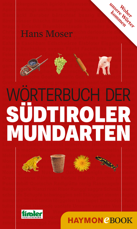 Wörterbuch der Südtiroler Mundarten -  Hans Moser