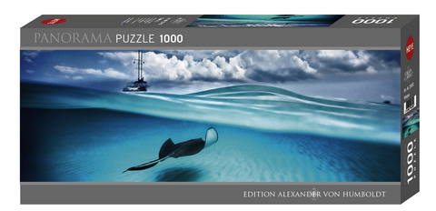 Stingray Puzzle - Alexander von Humboldt