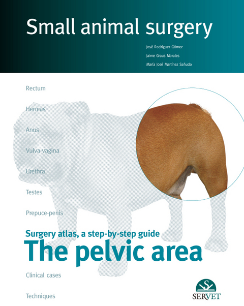 Small Animal Surgery: The Pelvic Area - José Rodriguez Goméz, Jaime Graus Morales, María José Martínez Sañudo