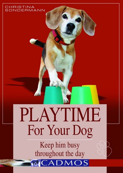 Playtime for your dog - Chistina Sondermann