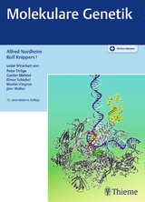 Molekulare Genetik - Nordheim, Alfred; Knippers, Rolf