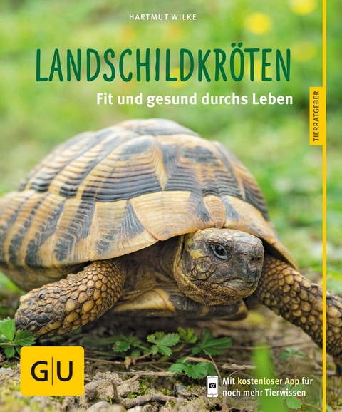Landschildkröten -  Hartmut Wilke