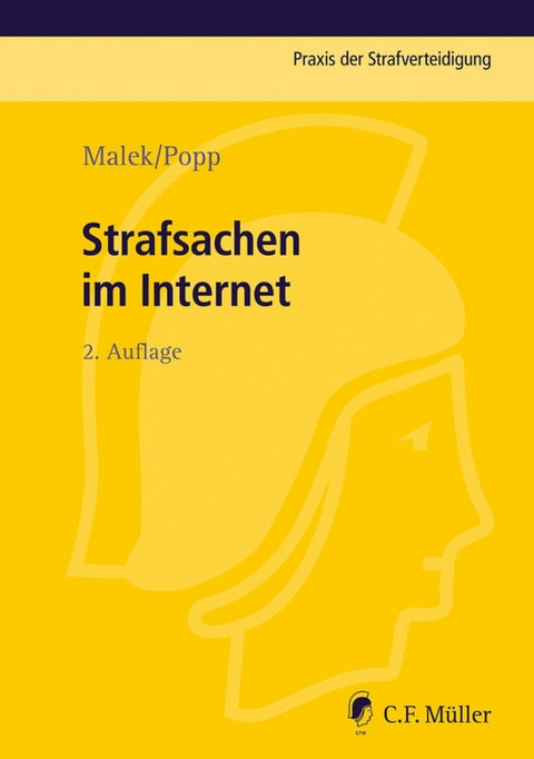 Strafsachen im Internet - Andreas Popp, Klaus Malek