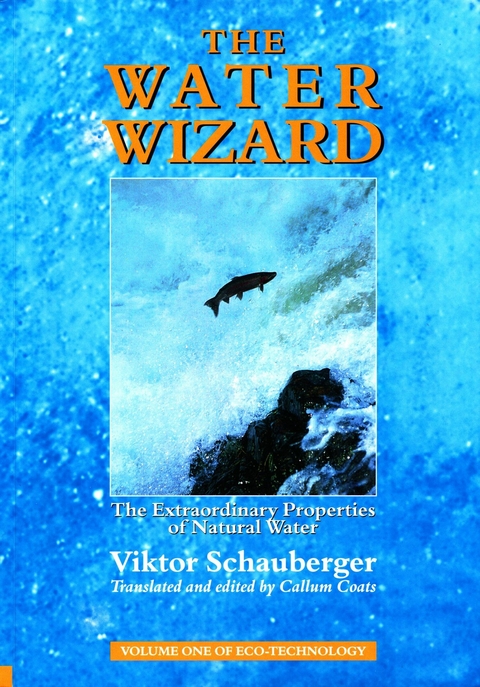 Water Wizard - The Extraordinary Properties of Natural Water -  Viktor Schauberger