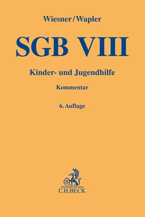 SGB VIII - 