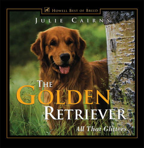 The Golden Retriever - Julie Cairns
