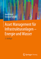 Asset Management für Infrastrukturanlagen - Energie und Wasser - Balzer, Gerd; Schorn, Christian