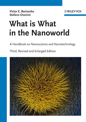 What is What in the Nanoworld - Victor E. Borisenko, Stefano Ossicini