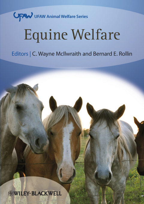 Equine Welfare - 